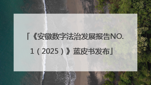 《安徽数字法治发展报告NO.1（2025）》蓝皮书发布