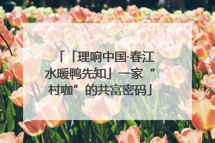 「理响中国·春江水暖鸭先知」一家“村咖”的共富密码