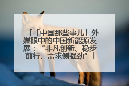 「中国那些事儿」外媒眼中的中国新能源发展：“非凡创新、稳步前行、需求侧强劲”