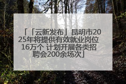「云新发布」昆明市2025年将提供有效就业岗位16万个 计划开展各类招聘会200余场次