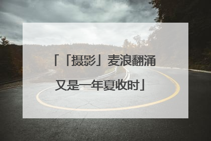「摄影」麦浪翻涌 又是一年夏收时