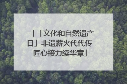 「文化和自然遗产日」非遗薪火代代传 匠心接力续华章