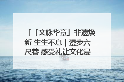 「文脉华章」非遗焕新 生生不息｜漫步六尺巷 感受礼让文化浸润的“巷”往生活