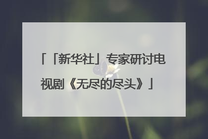 「新华社」专家研讨电视剧《无尽的尽头》