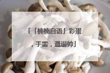 「楠楠自语」彩蛋，手雷，邋遢帅
