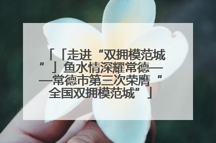 「走进“双拥模范城”」鱼水情深耀常德——常德市第三次荣膺“全国双拥模范城”