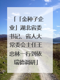 「金种子企业」湖北省委书记、省人大常委会主任王忠林一行到依瑞德调研