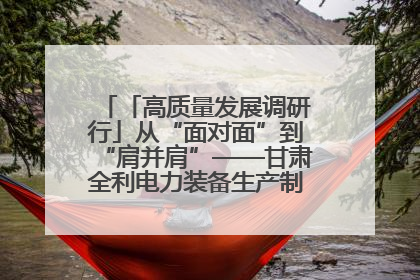 「高质量发展调研行」从“面对面”到“肩并肩”——甘肃全利电力装备生产制造项目一线见闻
