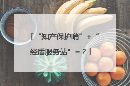 “知产保护哨”+“经盾服务站”=？