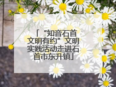 “知音石首 文明有约”文明实践活动走进石首市东升镇