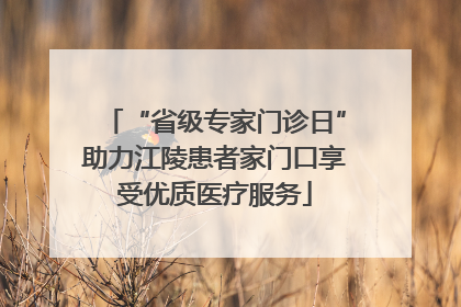 “省级专家门诊日”助力江陵患者家门口享受优质医疗服务