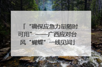 “确保应急力量随时可用”——广西应对台风“蝴蝶”一线见闻