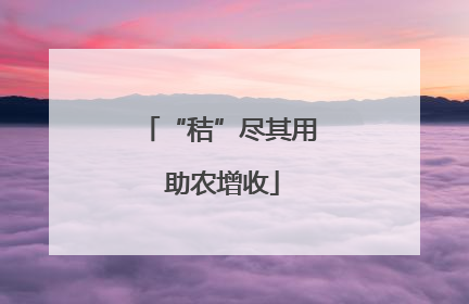 “秸”尽其用 助农增收