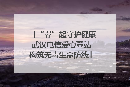 “翼”起守护健康 武汉电信爱心翼站构筑无毒生命防线