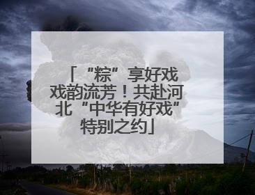 “粽”享好戏 戏韵流芳！共赴河北“中华有好戏”特别之约