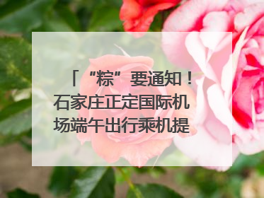 “粽”要通知！石家庄正定国际机场端午出行乘机提示，快来get