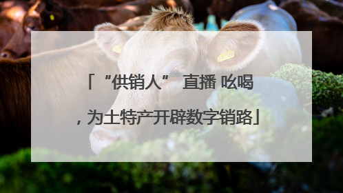“供销人” 直播 吆喝，为土特产开辟数字销路