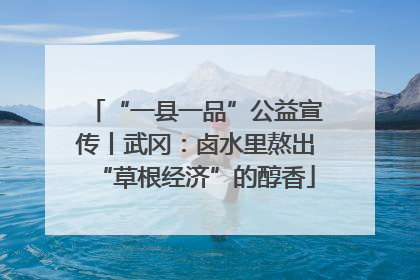 “一县一品”公益宣传丨武冈：卤水里熬出“草根经济”的醇香