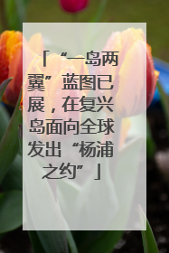 “一岛两翼”蓝图已展，在复兴岛面向全球发出“杨浦之约”