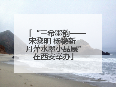 “三希墨韵——宋黎明 杨稳新 丹萍水墨小品展”在西安举办