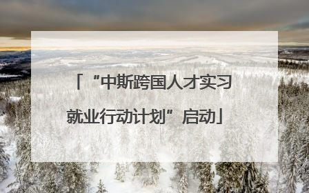 “中斯跨国人才实习就业行动计划”启动