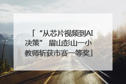 “从芯片视频到AI决策” 眉山彭山一小教师斩获市赛一等奖