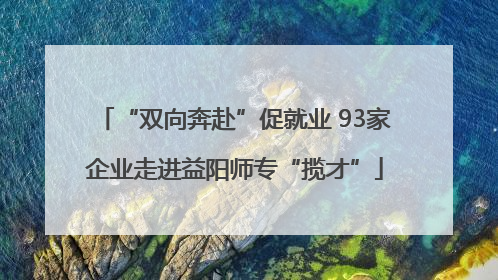 “双向奔赴”促就业 93家企业走进益阳师专“揽才”