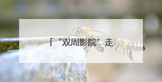 “双周影院”走进石景山区，文化惠民迈出新步伐