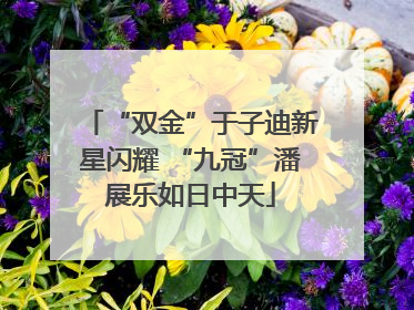 “双金”于子迪新星闪耀 “九冠”潘展乐如日中天