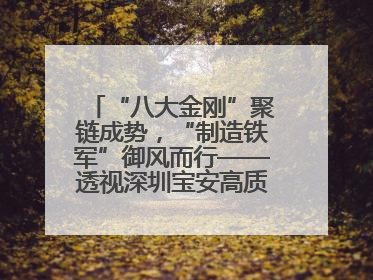 “八大金刚”聚链成势，“制造铁军”御风而行——透视深圳宝安高质量发展新活力