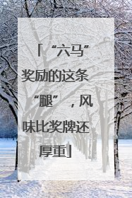 “六马”奖励的这条“腿”，风味比奖牌还厚重