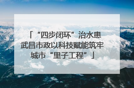 “四步闭环”治水患 武昌市政以科技赋能筑牢城市“里子工程”
