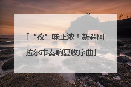 “孜”味正浓！新疆阿拉尔市奏响夏收序曲