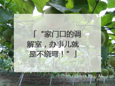 “家门口的调解室，办事儿就是不绕弯！”