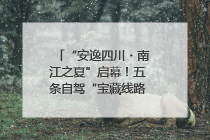 “安逸四川・南江之夏”启幕！五条自驾“宝藏线路”串联避暑胜地