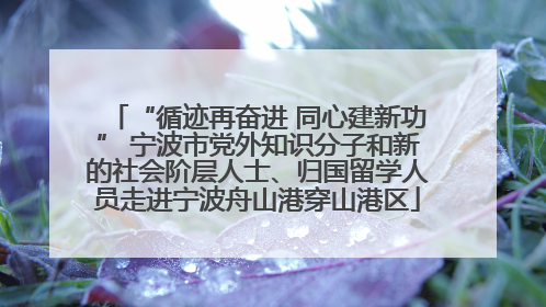 “循迹再奋进 同心建新功” 宁波市党外知识分子和新的社会阶层人士、归国留学人员走进宁波舟山港穿山港区