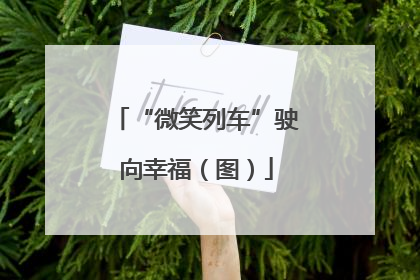 “微笑列车”驶向幸福（图）
