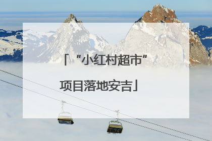 “小红村超市”项目落地安吉