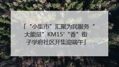 “小集市”汇聚为民服务“大能量”KM15′“香”街子学府社区开集迎端午