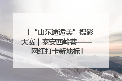 “山东邂逅美”摄影大赛｜泰安西岭巷——网红打卡新地标