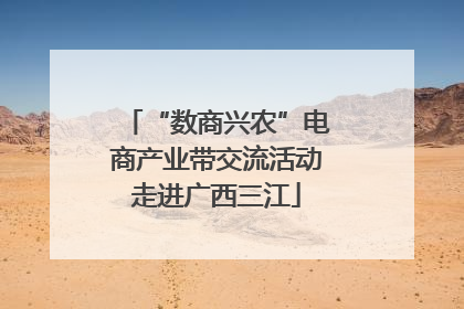 “数商兴农”电商产业带交流活动走进广西三江