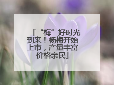 “梅”好时光到来！杨梅开始上市，产量丰富价格亲民