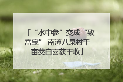 “水中参”变成“致富宝” 南漳八泉村千亩茭白喜获丰收