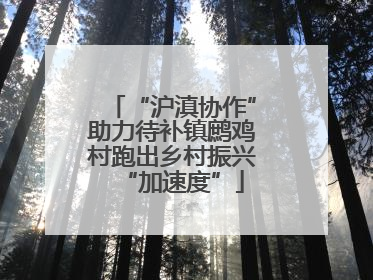 “沪滇协作”助力待补镇鹧鸡村跑出乡村振兴“加速度”