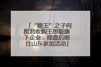 “赌王”之子何猷君收购王思聪旗下企业，接盘后前往山东参加活动