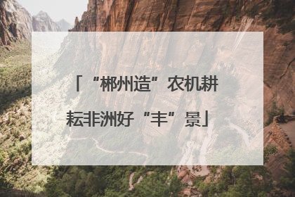 “郴州造”农机耕耘非洲好“丰”景