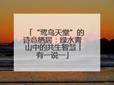“鹭鸟天堂”的诗意栖居：绿水青山中的共生智慧丨有一说一