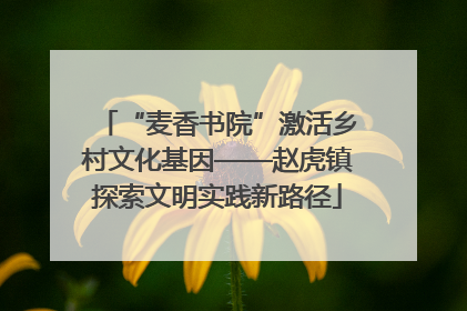 “麦香书院”激活乡村文化基因——赵虎镇探索文明实践新路径