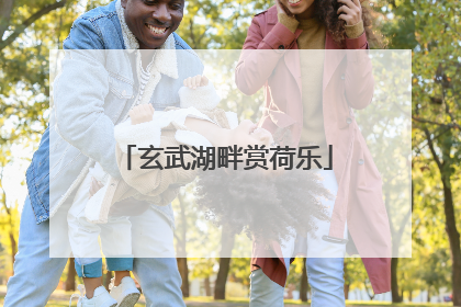 玄武湖畔赏荷乐