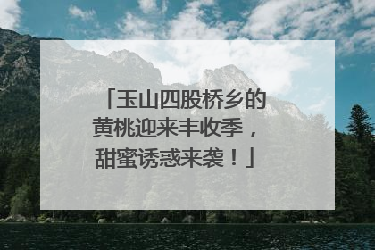 玉山四股桥乡的黄桃迎来丰收季，甜蜜诱惑来袭！